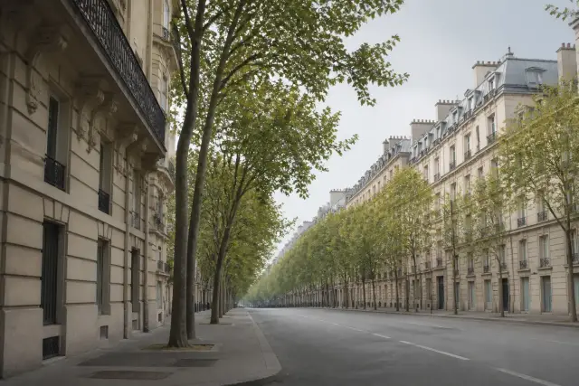 Large avenue bordée d’arbres et de façades en pierre à Paris