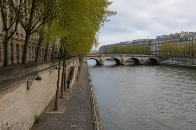 Grande avenue bordée d’arbres vue en perspective avec un monument à l’extrémité